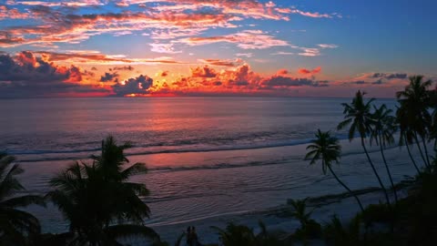 mixkit-bright-orange-sunset-on-beach-2168-hd-ready