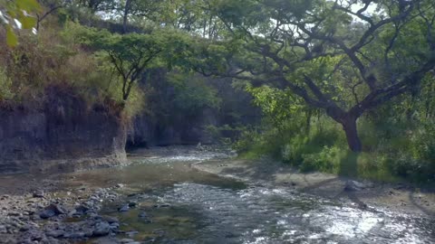 mixkit-flying-over-a-relaxing-creek-full-of-rock-on-the-51585-hd-ready